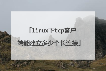 linux下tcp客户端能建立多少个长连接