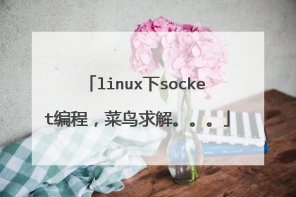 linux下socket编程,菜鸟求解。。。