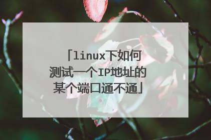 linux下如何测试一个IP地址的某个端口通不通