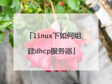 linux下如何组建dhcp服务器
