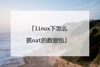 linux下怎么抓nat的数据包