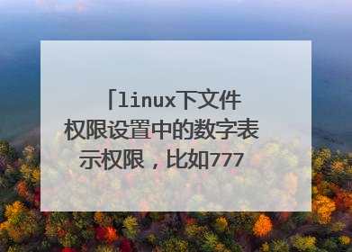 linux下文件权限设置中的数字表示权限,比如777,677等,这个根据什么得来的