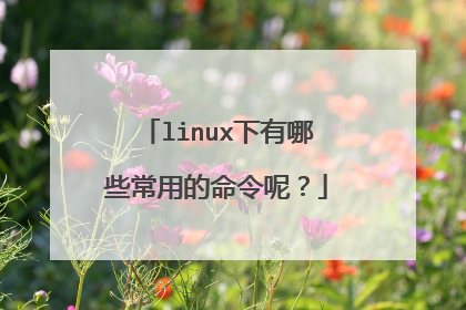 linux下有哪些常用的命令呢？