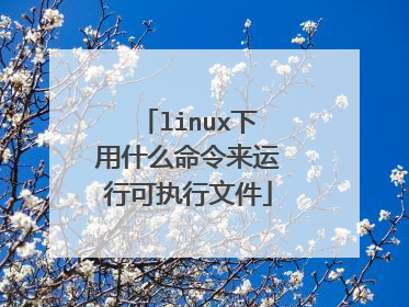 linux下用什么命令来运行可执行文件