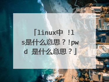 linux中 !ls是什么意思?!pwd 是什么意思?