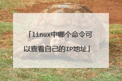 linux中哪个命令可以查看自己的IP地址