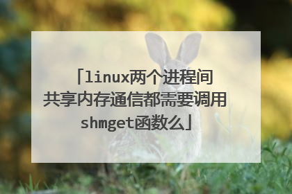 linux两个进程间共享内存通信都需要调用shmget函数么