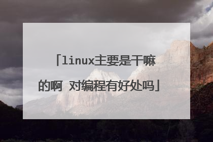 linux主要是干嘛的啊 对编程有好处吗