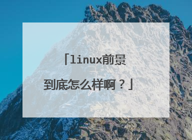 linux前景到底怎么样啊?
