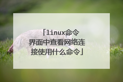 linux命令界面中查看网络连接使用什么命令