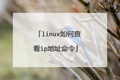 linux如何查看ip地址命令