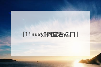 linux如何查看端口