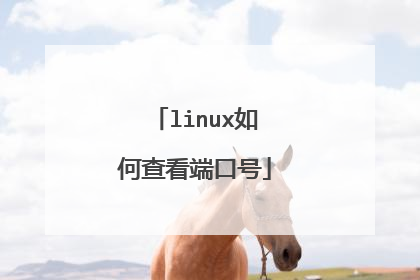 linux如何查看端口号