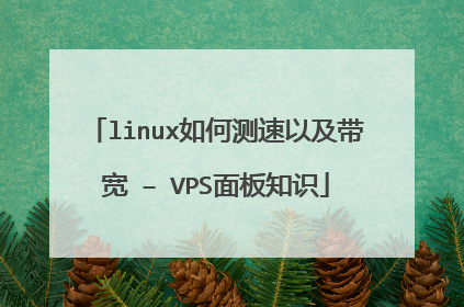 linux如何测速以及带宽 – VPS面板知识