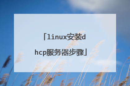 linux安装dhcp服务器步骤