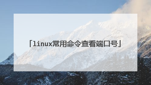 linux常用命令查看端口号