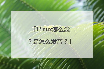 linux怎么念?是怎么发音?