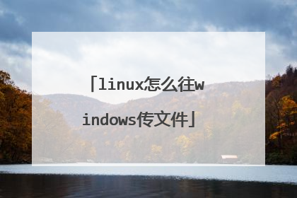 linux怎么往windows传文件