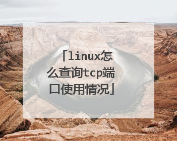 linux怎么查询tcp端口使用情况