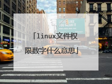 linux文件权限数字什么意思