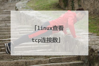 linux查看tcp连接数