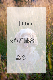 linux查看域名命令