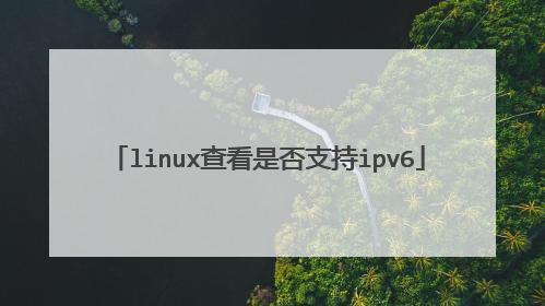 linux查看是否支持ipv6