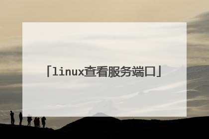 linux查看服务端口