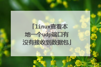 linux查看本地一个udp端口有没有接收到数据包