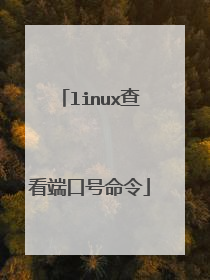 linux查看端口号命令