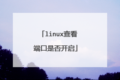 linux查看端口是否开启