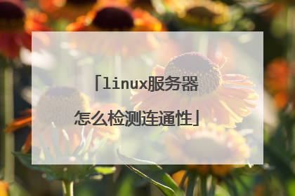 linux服务器怎么检测连通性