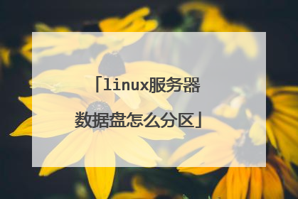 linux服务器数据盘怎么分区