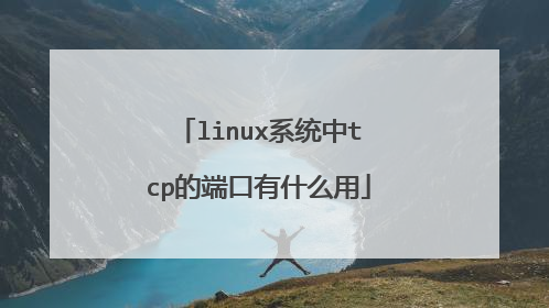 linux系统中tcp的端口有什么用