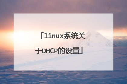 linux系统关于DHCP的设置