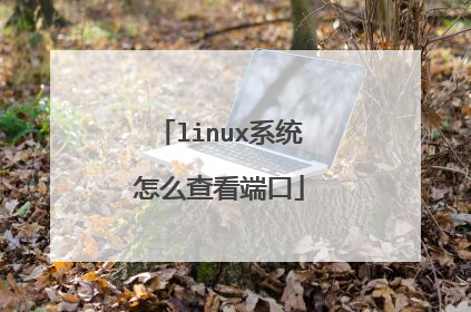 linux系统怎么查看端口