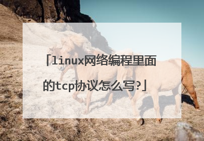 linux网络编程里面的tcp协议怎么写?