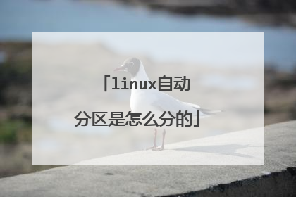 linux自动分区是怎么分的