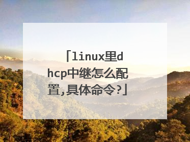linux里dhcp中继怎么配置,具体命令?