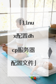 linux配置dhcp服务器配置文件