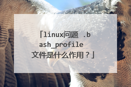 linux问题 .bash_profile 文件是什么作用？