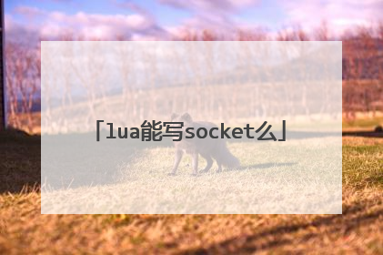 lua能写socket么