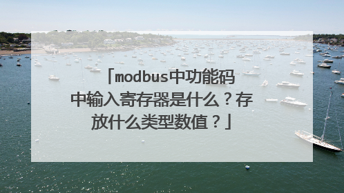modbus中功能码中输入寄存器是什么?存放什么类型数值?