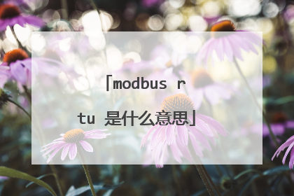 modbus rtu 是什么意思