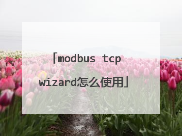 modbus tcp wizard怎么使用