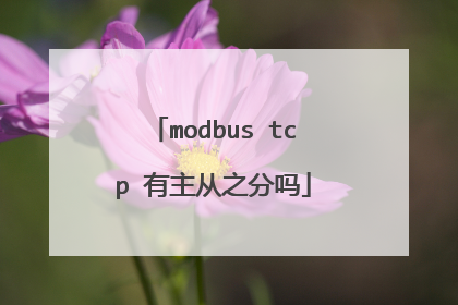 modbus tcp 有主从之分吗