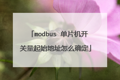 modbus 单片机开关量起始地址怎么确定