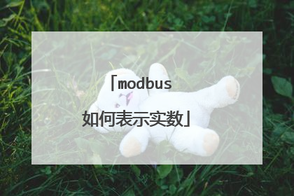modbus 如何表示实数