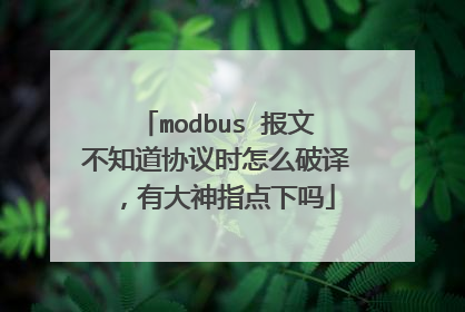 modbus 报文不知道协议时怎么破译 ，有大神指点下吗