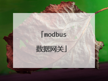 modbus 数据网关